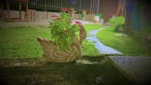 A garden outside Il Laghetto