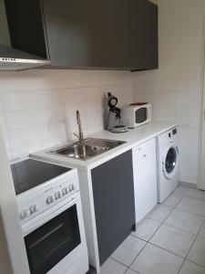 uma pequena cozinha com um lavatório e um micro-ondas em l oiseau bleu em Cayeux-sur-Mer