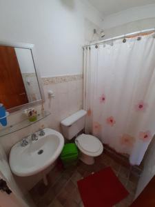 a bathroom with a sink and a toilet and a mirror at Complejo Las Maras in El Chalten