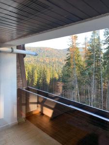 a balcony with a large window with a view of trees at Cioplea View in Predeal