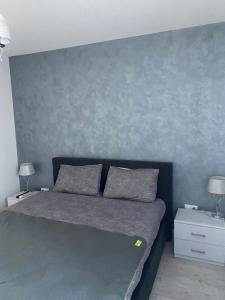 una camera da letto con parete blu e un letto con due cuscini di Centru Vechi Apartament a Suceava