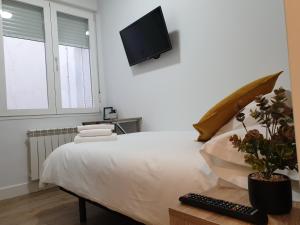 TV a/nebo společenská místnost v ubytování Norte Oviedo Rooms Madrid