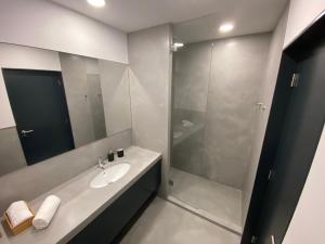 La salle de bains est pourvue d'un lavabo et d'une douche. dans l'établissement Mus Boavista, à Porto