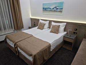 兹拉蒂博尔Standardna soba Zlatibor centar 205的配有一张大床和一张沙发的酒店房间