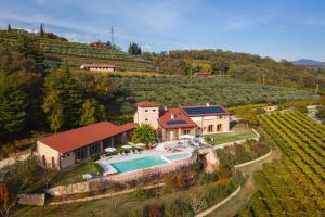 an aerial view of a house in a vineyard at Agriturismo Ai Dossi in Verona