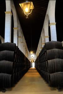 Zdjęcie z galerii obiektu Sherryflat C/ Arcos w mieście Jerez de la Frontera