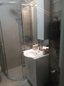 y baño con ducha, lavamanos y ducha. en Apartman Goldy, en Zagreb