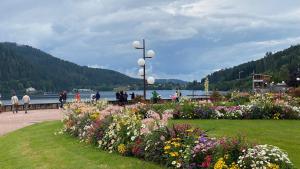 een park met bloemen en mensen die langs het water lopen bij Côté lac in Gérardmer