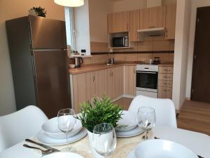 Majoituspaikan Apartmány Břachovna keittiö tai keittotila