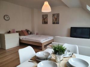 Vuode tai vuoteita majoituspaikassa Apartmány Břachovna