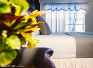 a bedroom with a bed with a window and a plant at Belle View Apartment Villa- Lilac in Laborie
