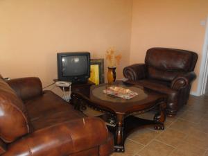 salon ze skórzanymi krzesłami, stołem i telewizorem w obiekcie Belle View Apartment Villa- Lilac w mieście Laborie