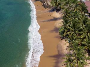 una vista aérea de una playa con palmeras en THE SLOW vegan hotel en Mirissa