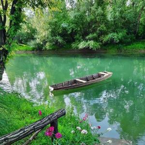 Drinska laguna في بانيا كوفيلياتشا: وجود قارب جالس في الماء بجانب الزهور