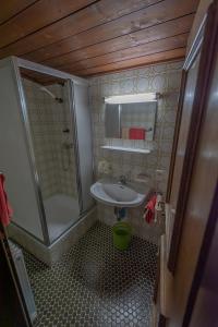 La petite salle de bains est pourvue d'une douche et d'un lavabo. dans l'établissement Appartement Pillersee, à Sankt Ulrich am Pillersee