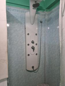 La salle de bains est pourvue d'une douche avec un pommeau de douche. dans l'établissement Belle View Apartment Villa - Cactus, à Laborie