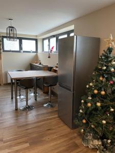 einen Weihnachtsbaum in einem Büro mit Kühlschrank in der Unterkunft Charmant logement avec balnéo in Wintzenheim
