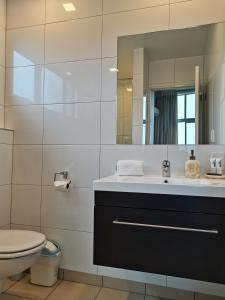 een badkamer met een wastafel, een toilet en een spiegel bij Three Rivers Lodge in Lake Tekapo