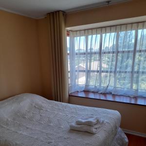 a bedroom with a bed and a large window at Departamento Temuco Thiers in Temuco