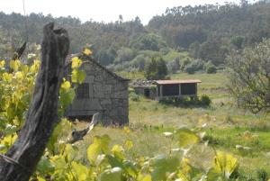 Příroda nedaleko prázdninového domu + 23 fotografií