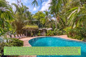 einen Pool in einem Garten mit Palmen in der Unterkunft El Sano Banano Beachside Hotel in Montezuma