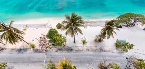 una vista aérea de una playa con palmeras y el océano en Acacia Beach Hotel, en Hulhumale