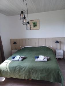 een slaapkamer met een groen bed en 2 handdoeken bij Domaine l'Esprit d'Antan in Villeneuve-sur-Lot