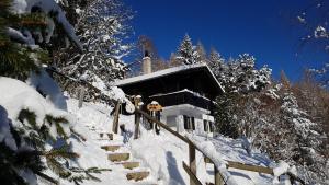 Charming chalet with panoramic view and private parking in Gruyère durante el invierno