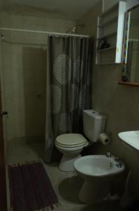 a bathroom with a toilet and a shower and a sink at Casa en Necochea in Necochea