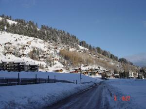 Charming chalet with panoramic view and private parking in Gruyère durante el invierno