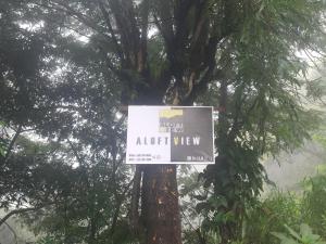 un cartel en un árbol delante de un árbol en Aloft View en Ella