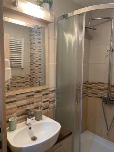 Koupelna v ubytování Apartmani u Vili Kopaonik