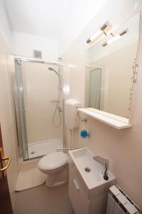 La salle de bains est pourvue de toilettes, d'une douche et d'un lavabo. dans l'établissement Apartament VV, à Pula