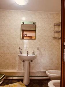 a bathroom with a sink and a mirror and a toilet at Casa BOICO in Gura Humorului