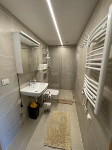 une salle de bain avec un lavabo et un miroir dans l'établissement Central Apartment, à Palanga 16 autres photos