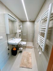 een badkamer met een wastafel, een toilet en een spiegel bij Central Apartment in Palanga
