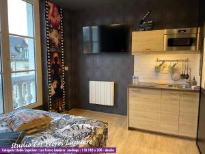 Nos studios au centre ville à Dole的厨房或小厨房