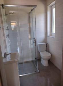 a bathroom with a shower and a toilet and a sink at Domek Bobrowe Zacisze 3 in Janowice Wielkie
