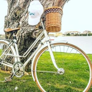 a bike with a basket parked next to a tree at Furnaka Eco Village in Lourinhã