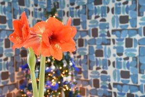 an orange flower in a vase next to a christmas tree at Casa Marino in Sorrento