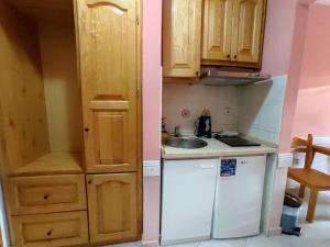Kuchyň nebo kuchyňský kout v ubytování Villa Aleksandra - T