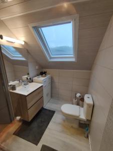 a bathroom with a toilet and a sink and a window at La fa'Meuse escale in Vireux-Wallerand +19 photos