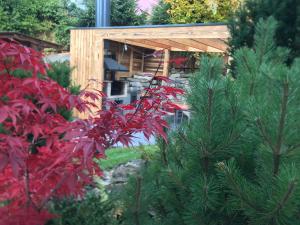 a garden with red plants and a wooden gazebo at Chata Dorotka in Vyšné Ružbachy