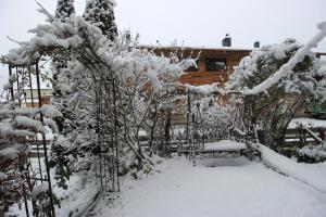 Maisalm, Apt 4 v zime
