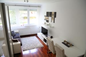 Televízia a/alebo spoločenská miestnosť v ubytovaní Apartments Zagreb West