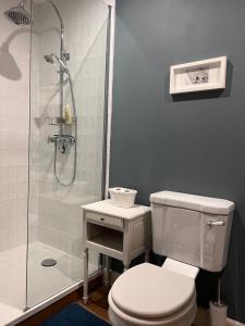 a bathroom with a white toilet and a shower at Maison Père in Lagarde