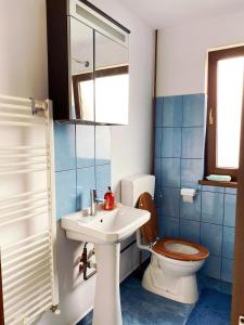 a bathroom with a toilet and a sink at Grandma’s Cottage in Săcele