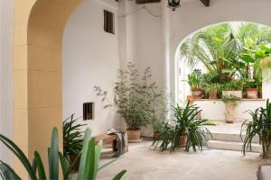 Vonkajšia záhrada v ubytovaní Hostal Pons