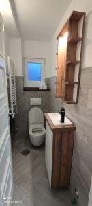 La salle de bains est pourvue de toilettes, d'un lavabo et d'une fenêtre. dans l'établissement Inn Nature, à Pale