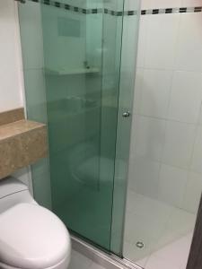 een glazen douche in een badkamer met een toilet bij Hotel Boutique San Rafael in Mariquita